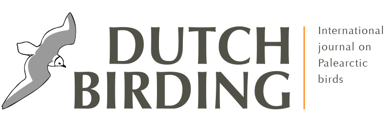 Dutch Bird Alerts